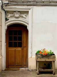 Potted plant on door of building