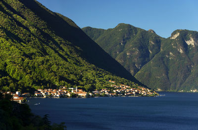 View of calm lake against lush foliage