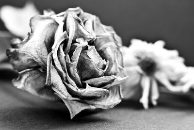 Close-up of rose bouquet