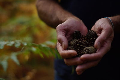 Close-up of man holding fruit