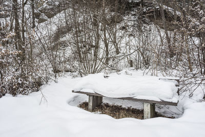Scenic view of snow covered field