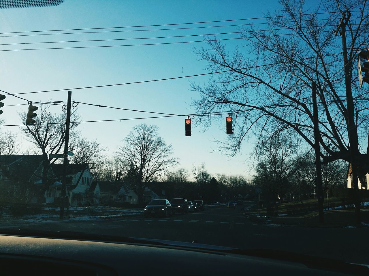 tree, transportation, street light, clear sky, low angle view, road, road sign, silhouette, sky, bare tree, flying, bird, mid-air, street, guidance, road signal, outdoors, lighting equipment, no people, car