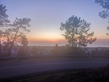Silhouette trees by road against sky during sunset
