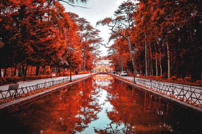 View of canal amidst trees during autumn