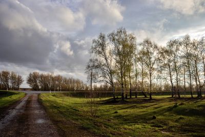 Bare trees on field against sky