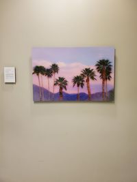 Palm trees by wall against sky seen through window