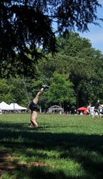 People photographing on field against trees