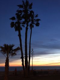 Silhouette tree on beach against sky at sunset