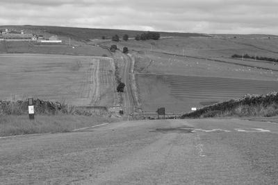 Road amidst fields