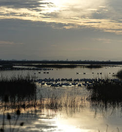Scenic view of lake against sky at sunset
