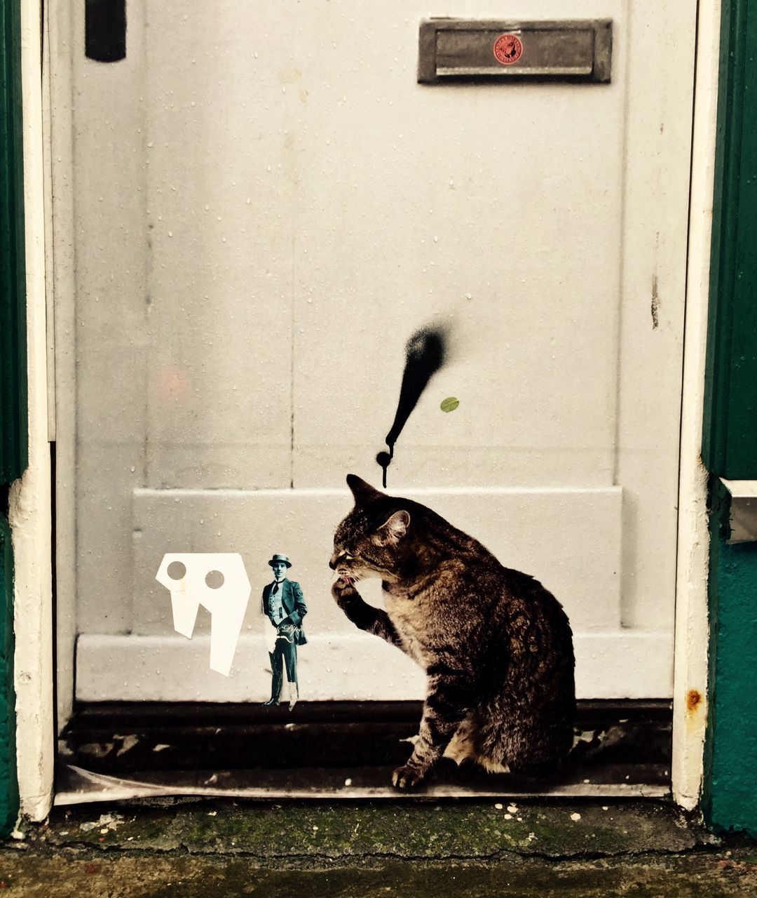 CAT SITTING ON WINDOW SILL