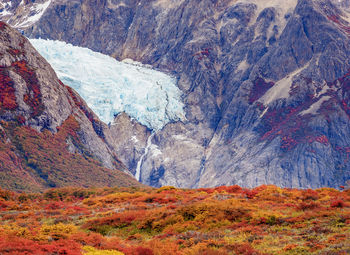 Scenic view of landscape during autumn