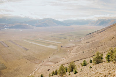 landscape