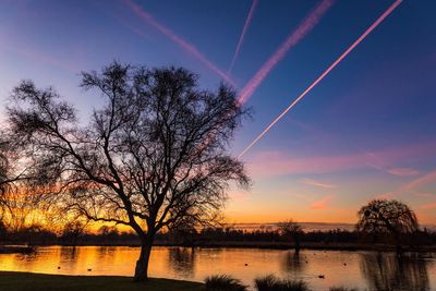 Silhouette trees against sky during sunset