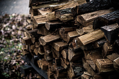 Stack of logs in forest