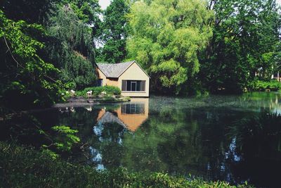 Reflection of houses in water