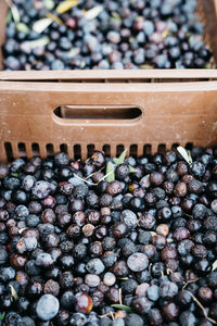 High angle view of blackberries in container