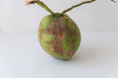 Close-up of fruit against white background