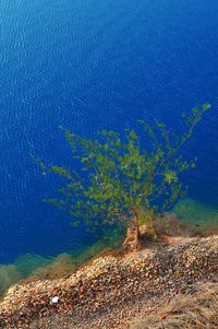 Scenic view of sea against blue sky