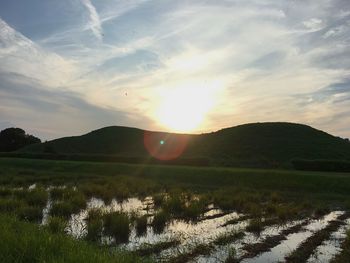 Scenic view of field against sky during sunset