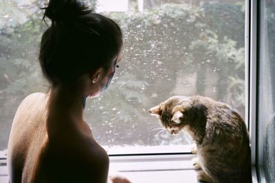 Cat looking through window