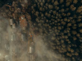 High angle view of trees and buildings in city