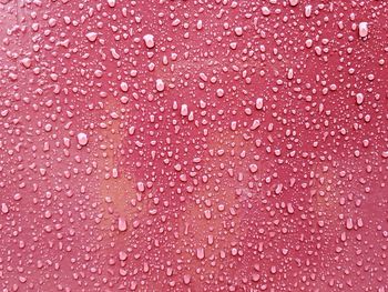 Full frame shot of water drops on pink wall
