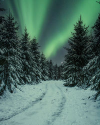 Snow covered land against sky at night