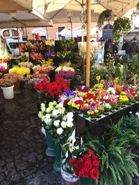 Flowers for sale at market stall