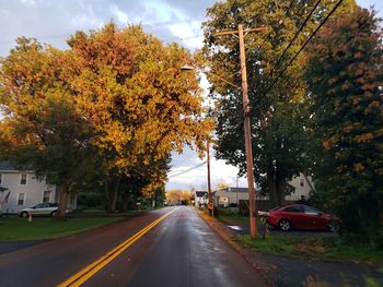 Trees by road in city during autumn