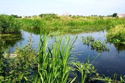 Scenic view of lake against sky