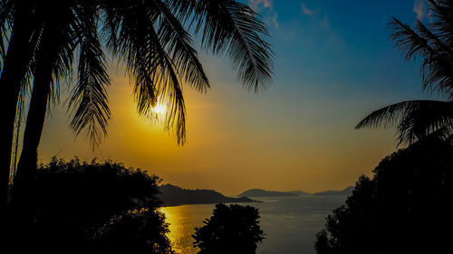Silhouette palm trees against sky during sunset