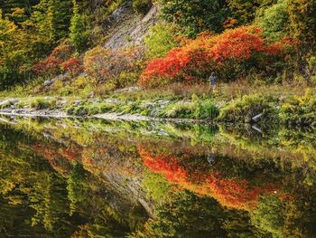 Scenic view of lake with reflection