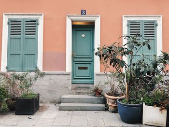 Potted plants outside house