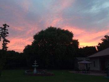 Trees on landscape against sky at sunset