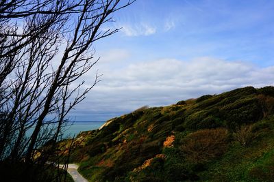 Scenic view of tree mountains against sky