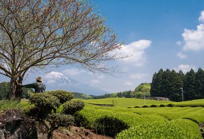 Scenic view of field against cloudy sky