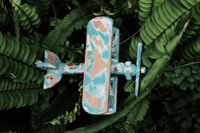An airplane wooden miniature that crashed on trees.