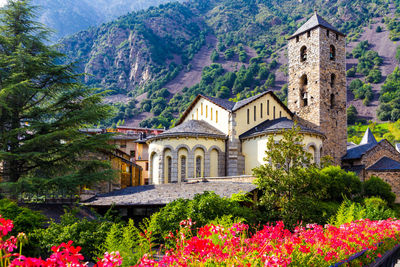 View of plants and building against mountain