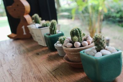 Close-up of potted plant on table