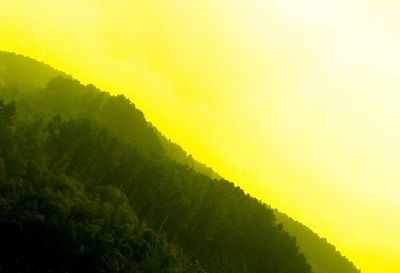 Scenic view of forest against yellow sky