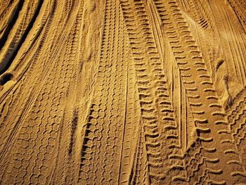 Detail shot of tire tracks on carpet