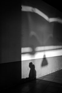 Shadow of people on wall