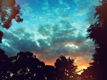 Silhouette of trees against cloudy sky