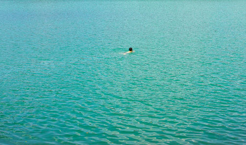 Man swimming in sea