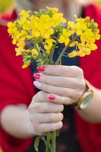 Close-up of hand holding red flowers