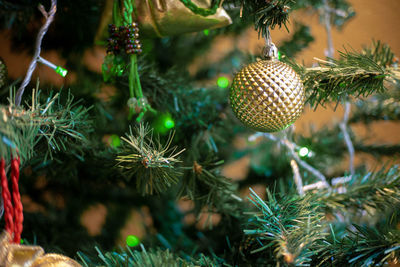 Close-up of christmas tree