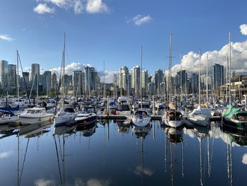 Sailboats in false creek marina