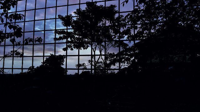 silhouette, tree, sky, growth, sunset, branch, low angle view, nature, tranquility, outline, dark, dusk, no people, beauty in nature, outdoors, tranquil scene, fence, scenics, day