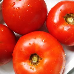 Close-up of red tomatoes